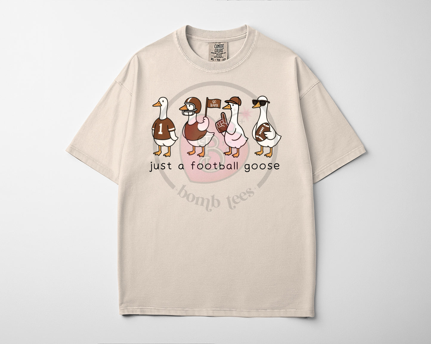 Football Goose π